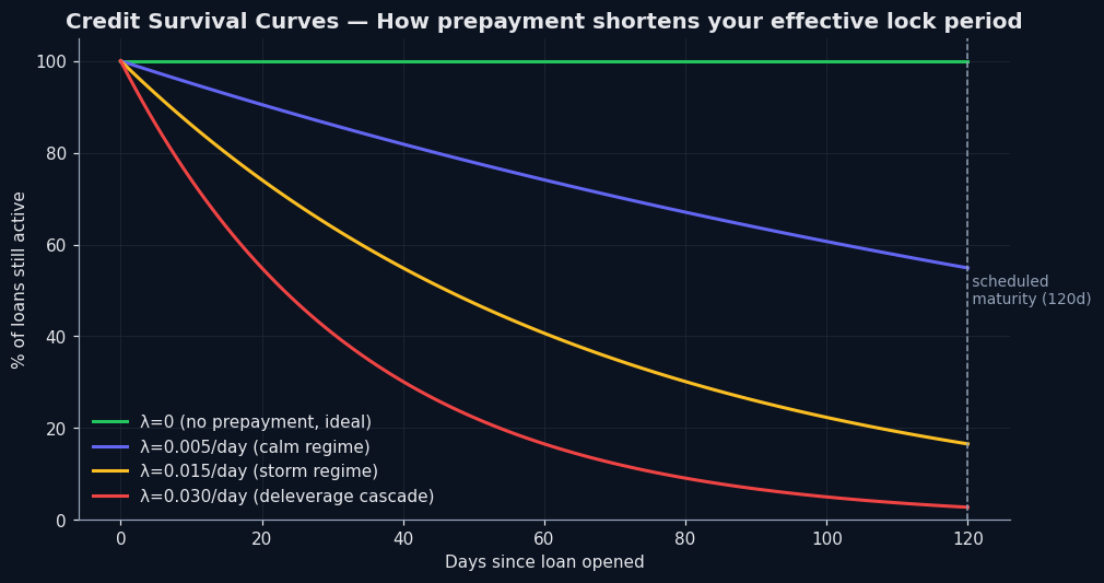 Credit survival curves — how prepayment shortens your effective lock period